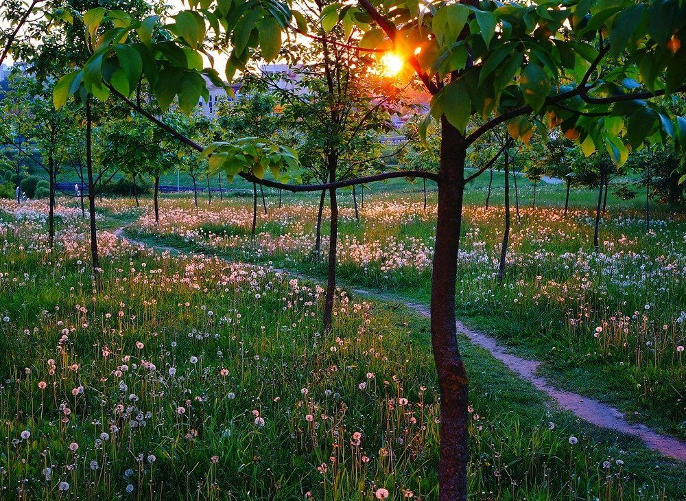 Вечерний свет