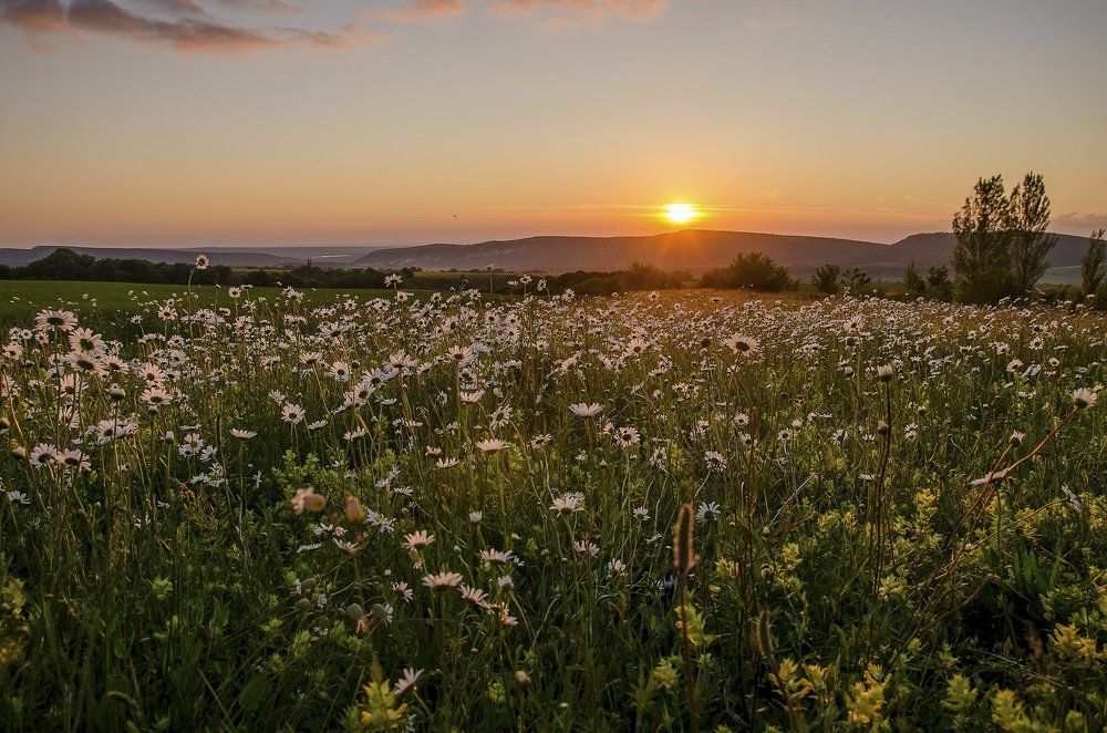 Photograph by Елена Вапняр