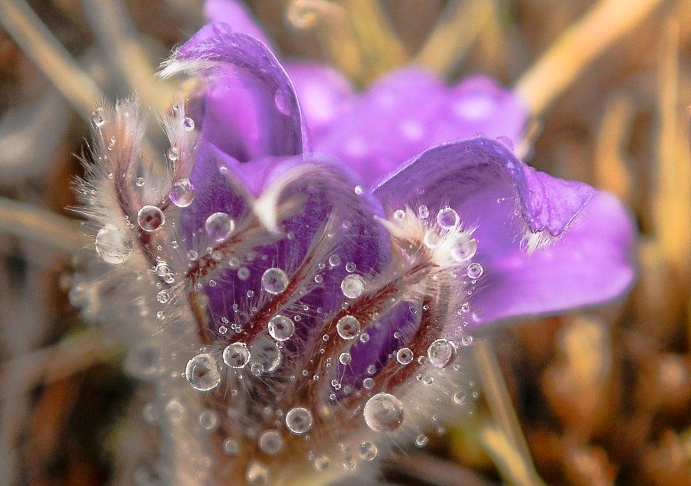 Photograph by Бурмейстер Натали