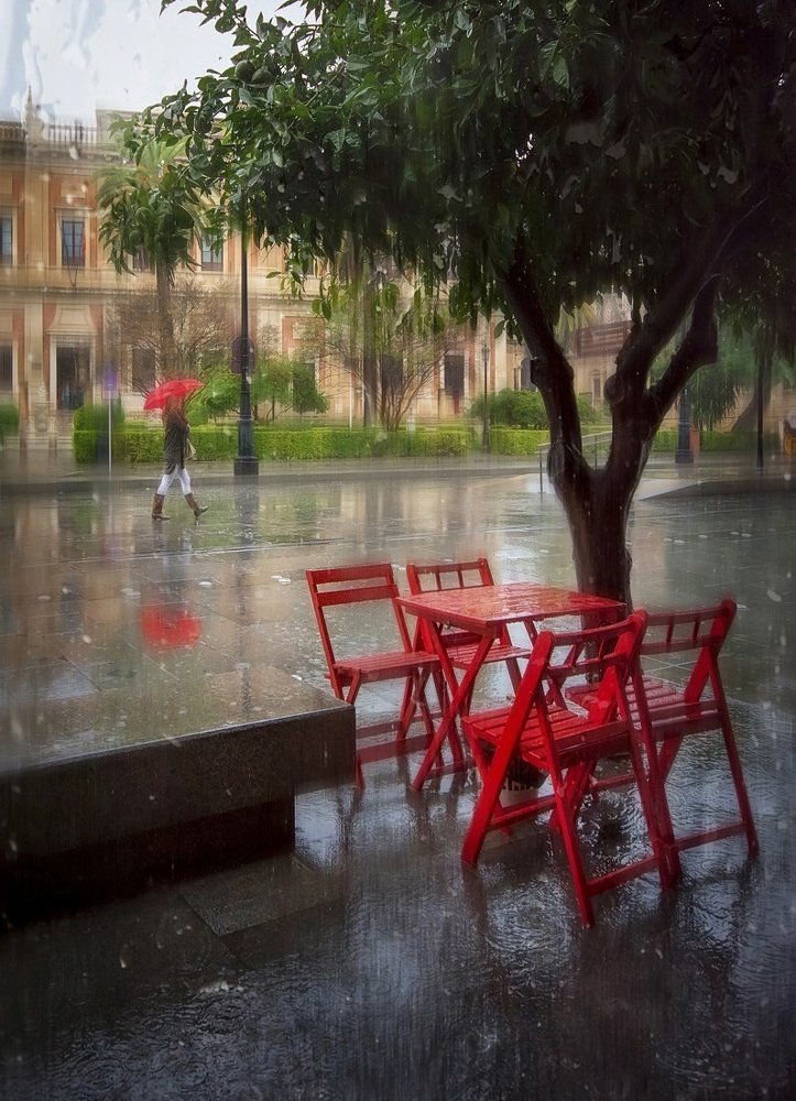 Дождливое кафе