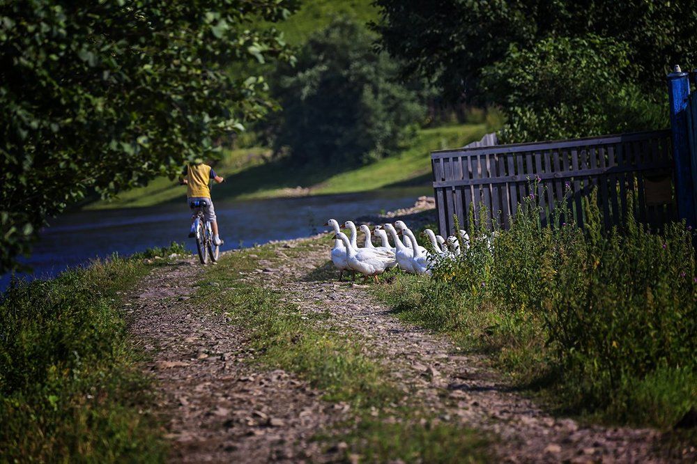 Деревенские зарисовки