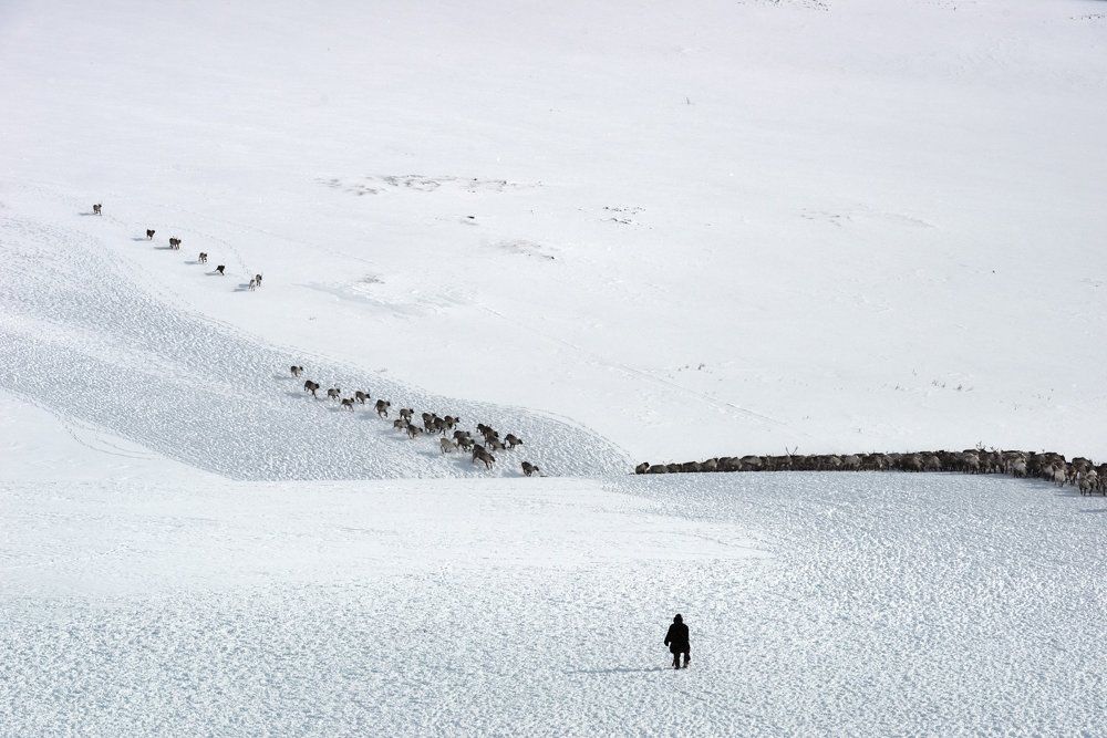 Под музыку вечности белой...