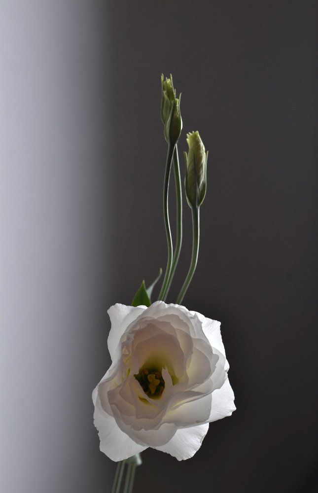 Одиночество