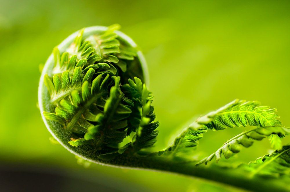 Photograph by Тараненко Анжелика