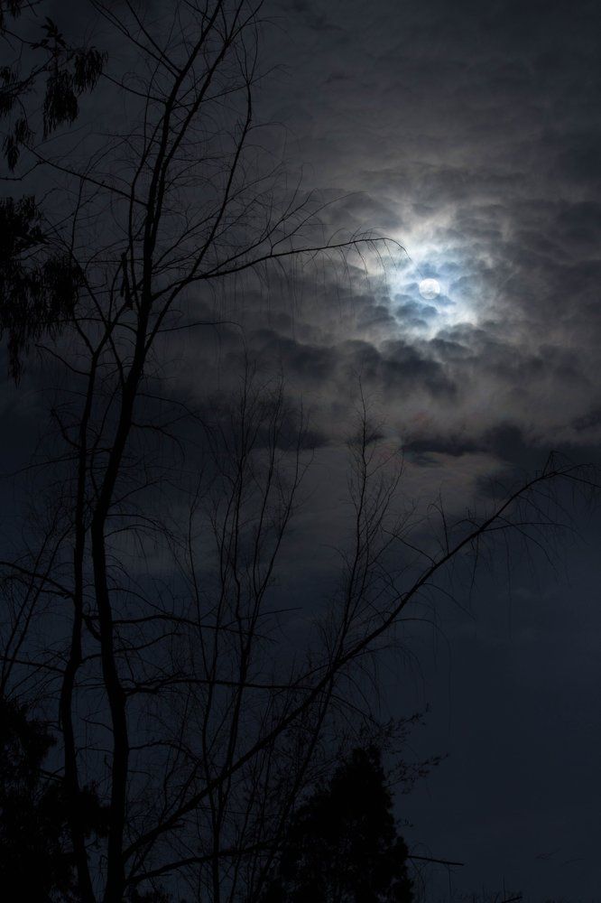 Nature's Scary Look