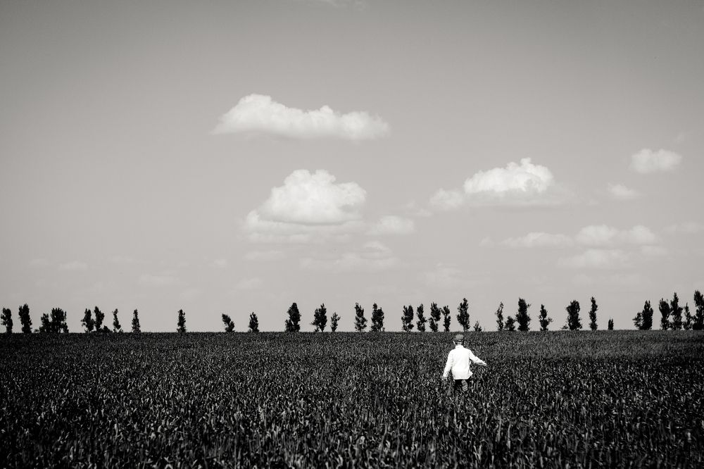 Любопытство