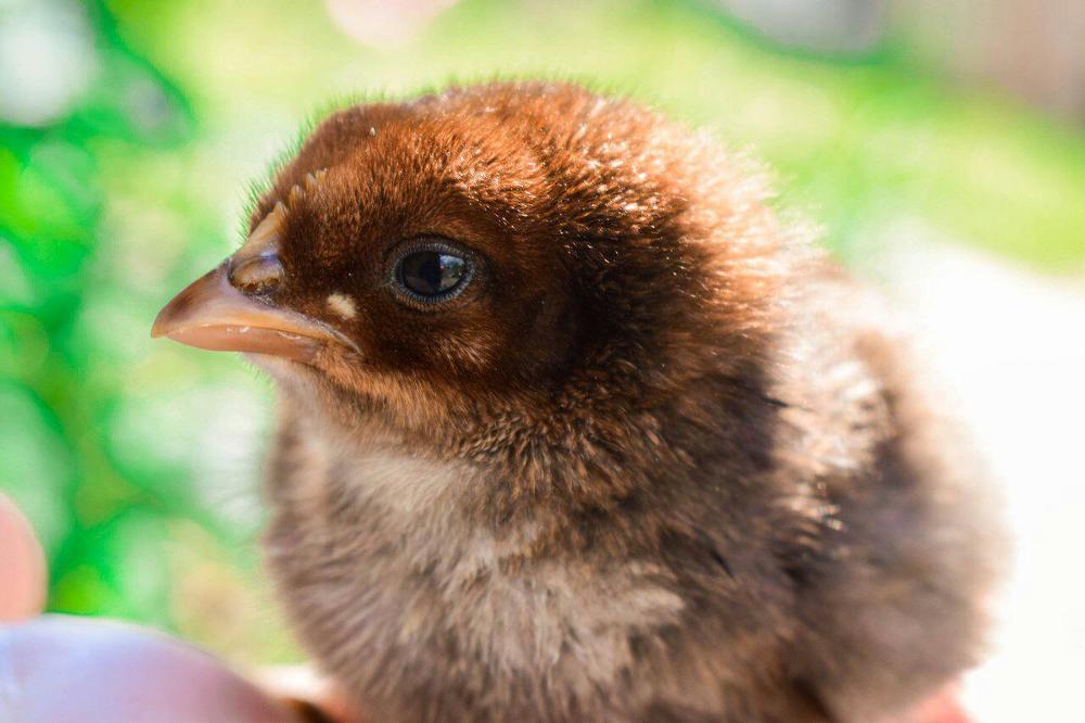 Photograph by karina2699