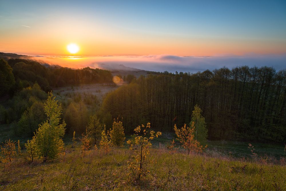Там за туманами...