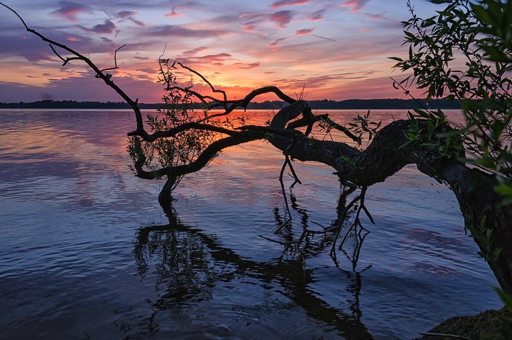 в восточном духе