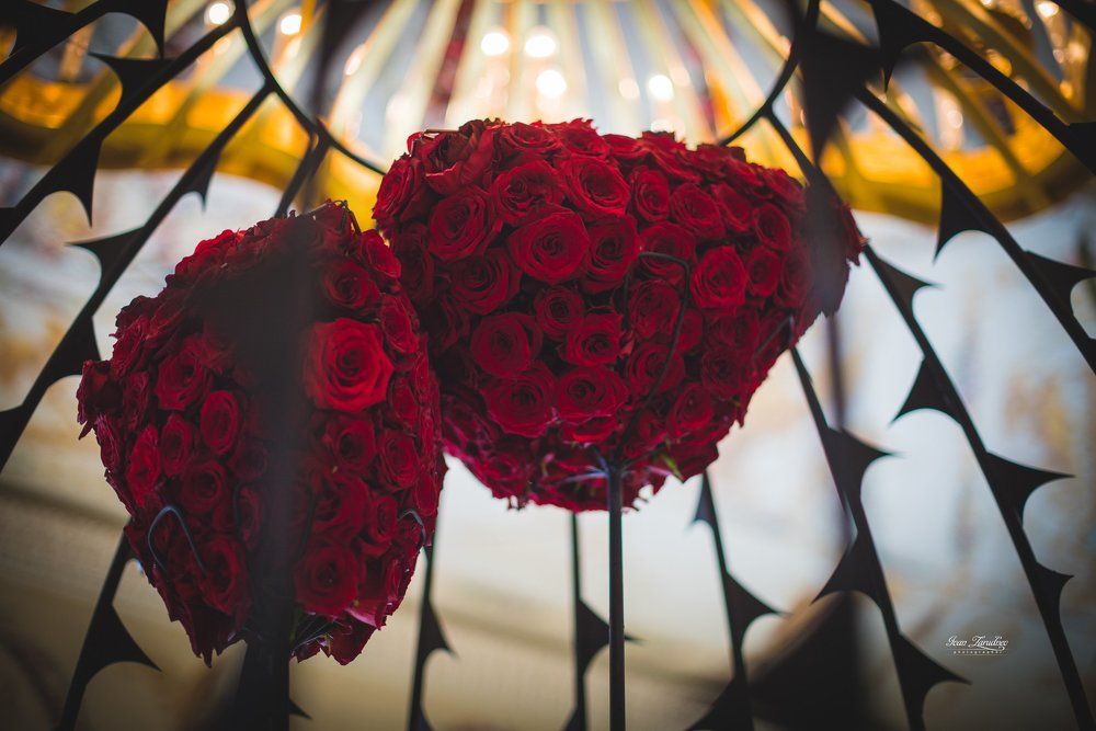 О дивной розе без шипов