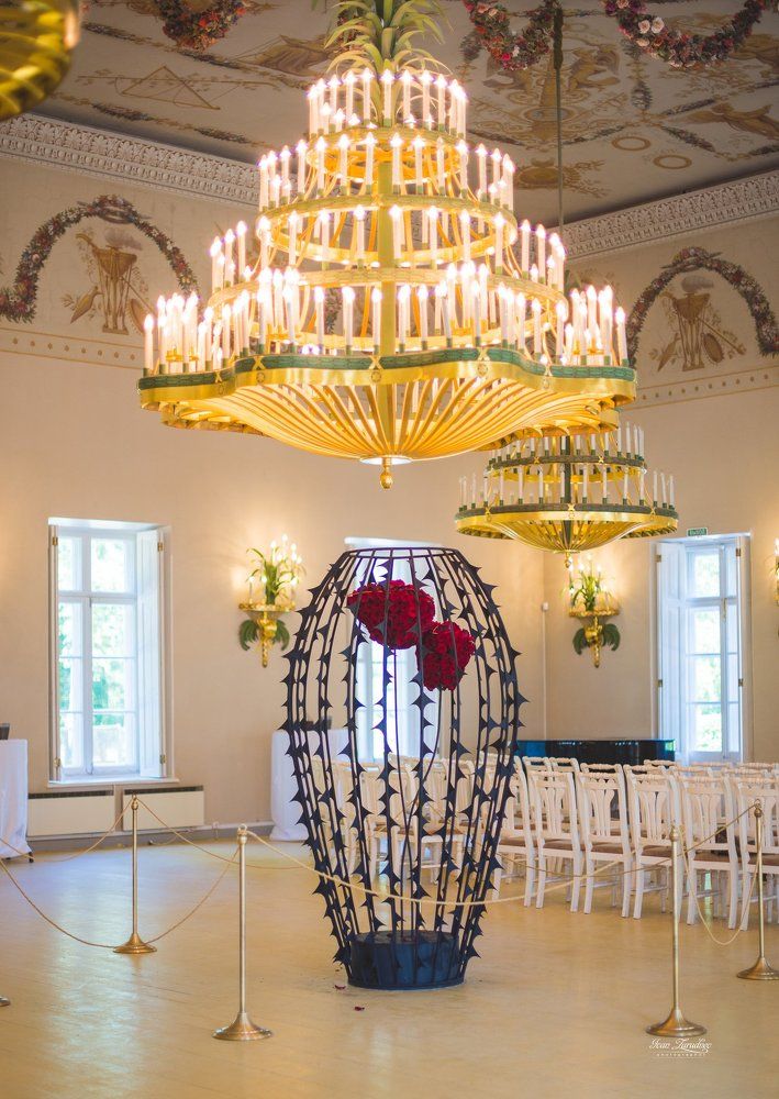 О дивной розе без шипов