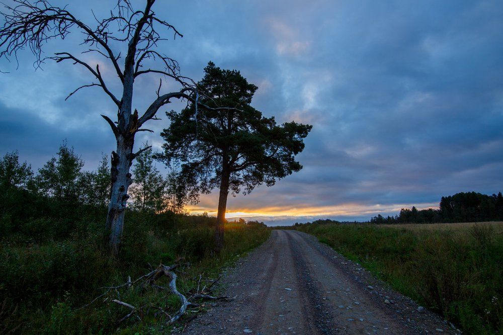 Карелия. Дорога на рыбалку.