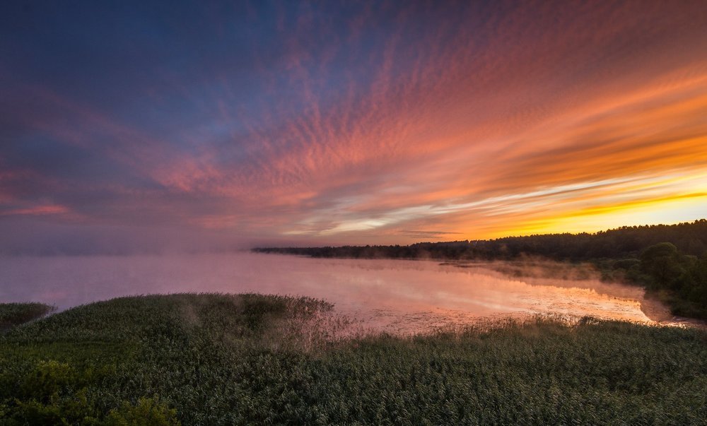 Photograph by Eriks Zilbalodis