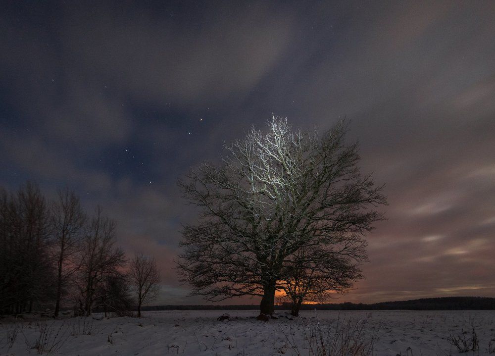 Photograph by Eriks Zilbalodis