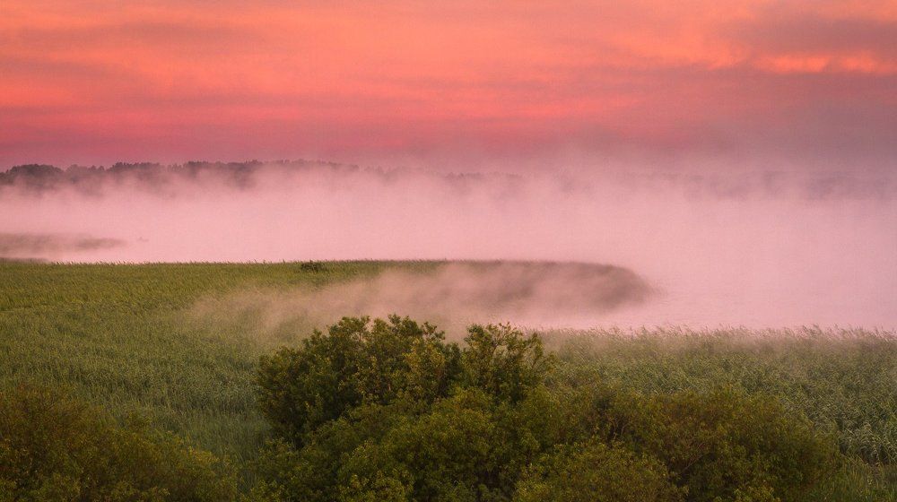 Photograph by Eriks Zilbalodis