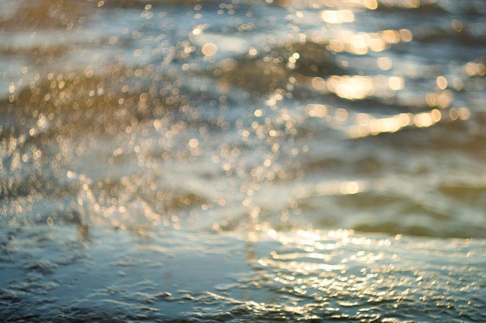 Морская чешуя