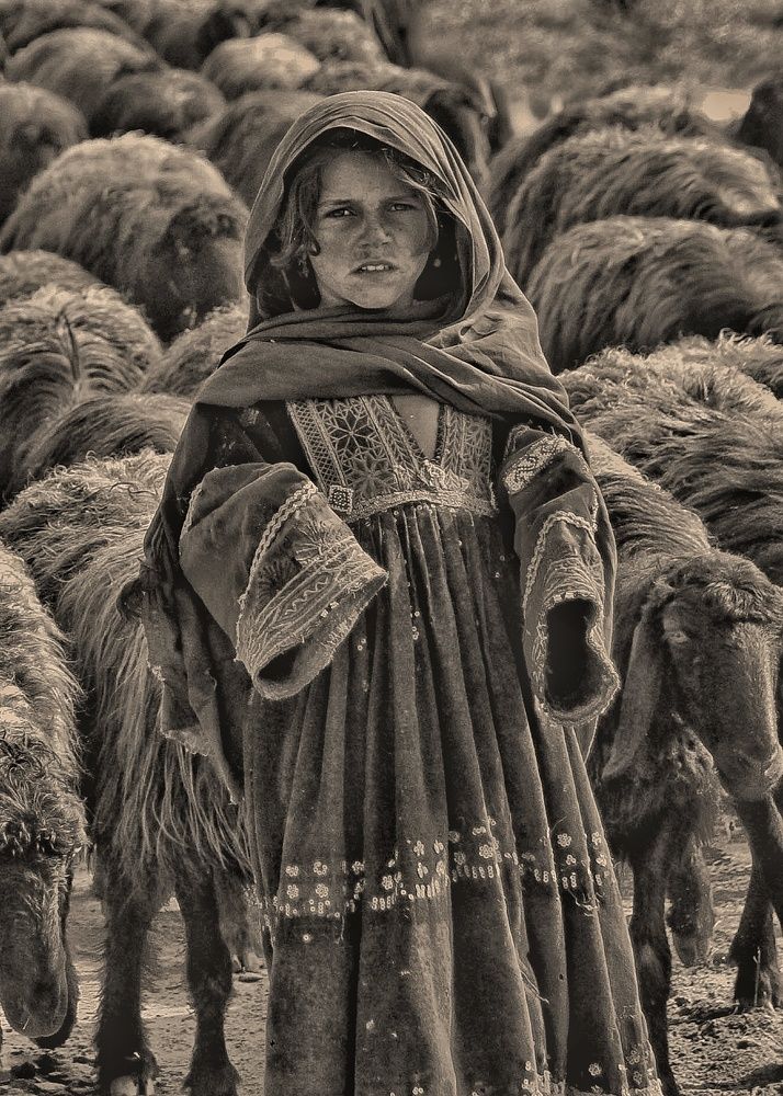 Nomads Girl Of Pakistn