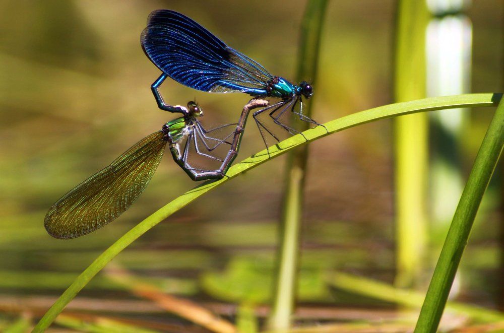 Photograph by Ekaterina Karnauh