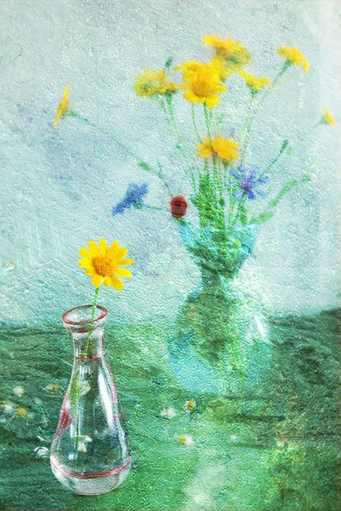 Желтые цветы