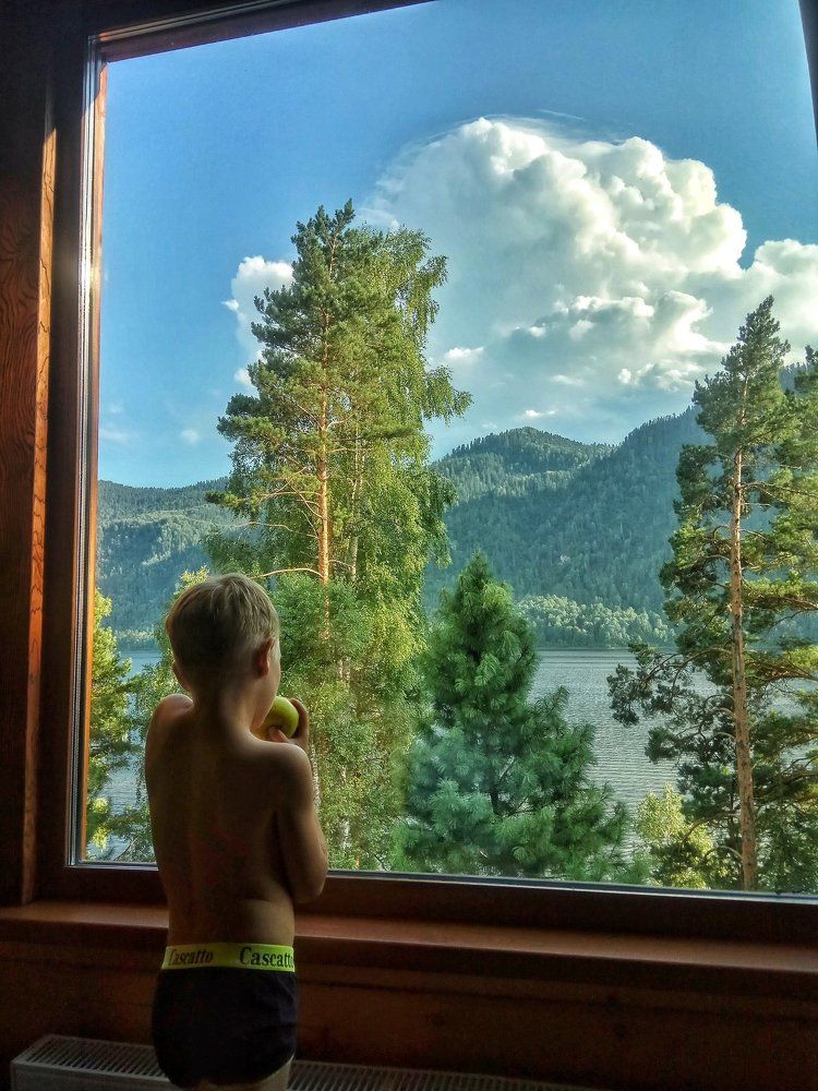 когда не только деревья,но и окна были большими...