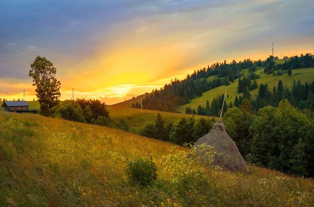 Закат в желтом