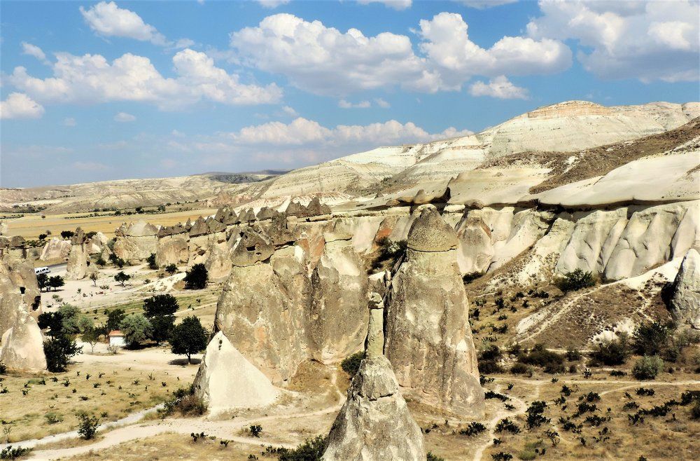 Каменный лес