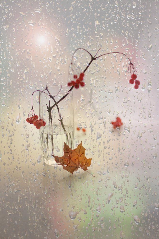 Мокрый декабрь...