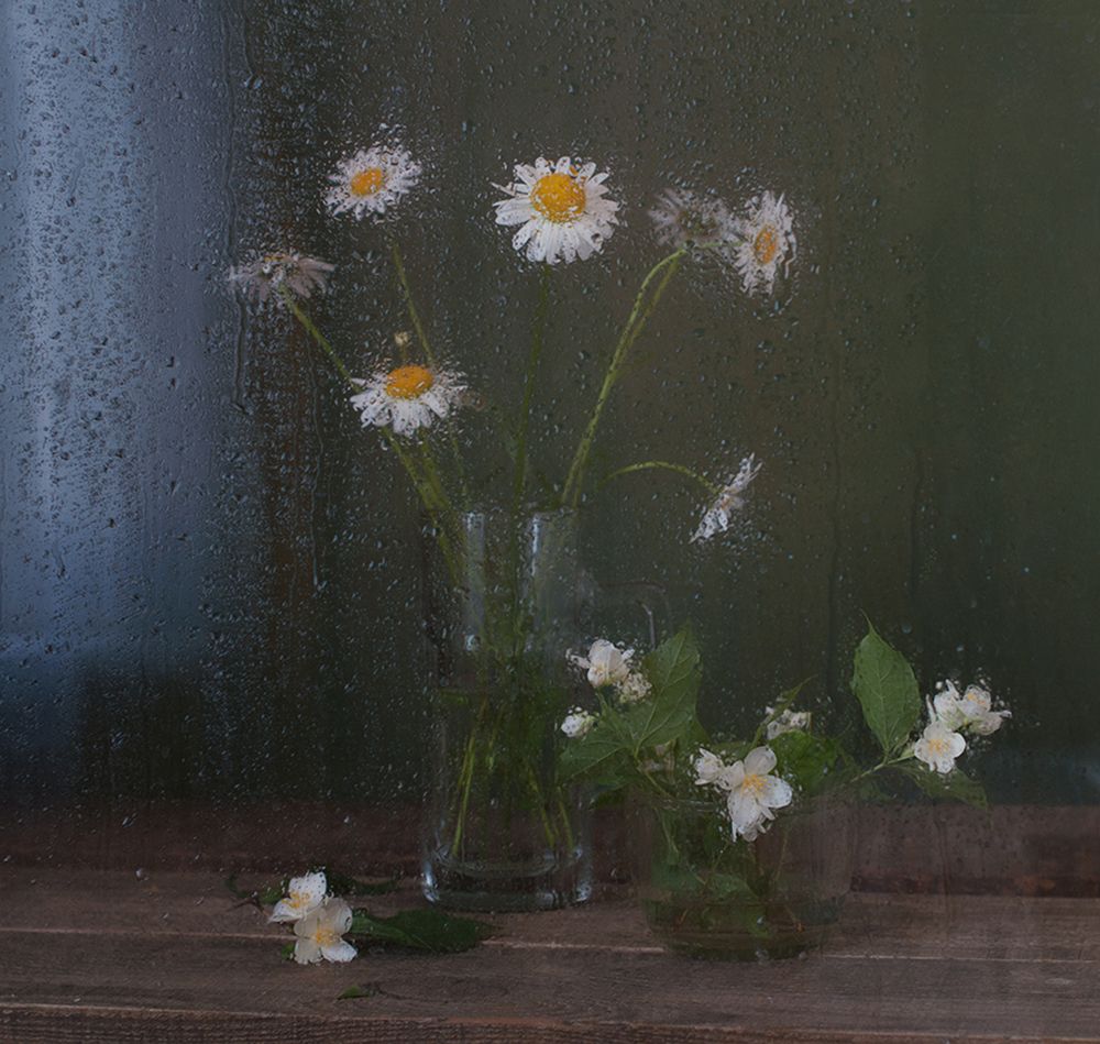 Сквозь капли летнего дождя...