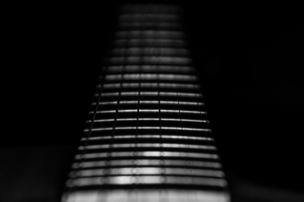 Guitar Frets