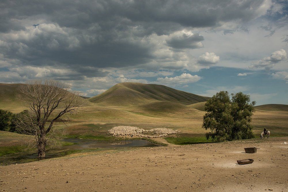 Photograph by Анастасия Абрамова