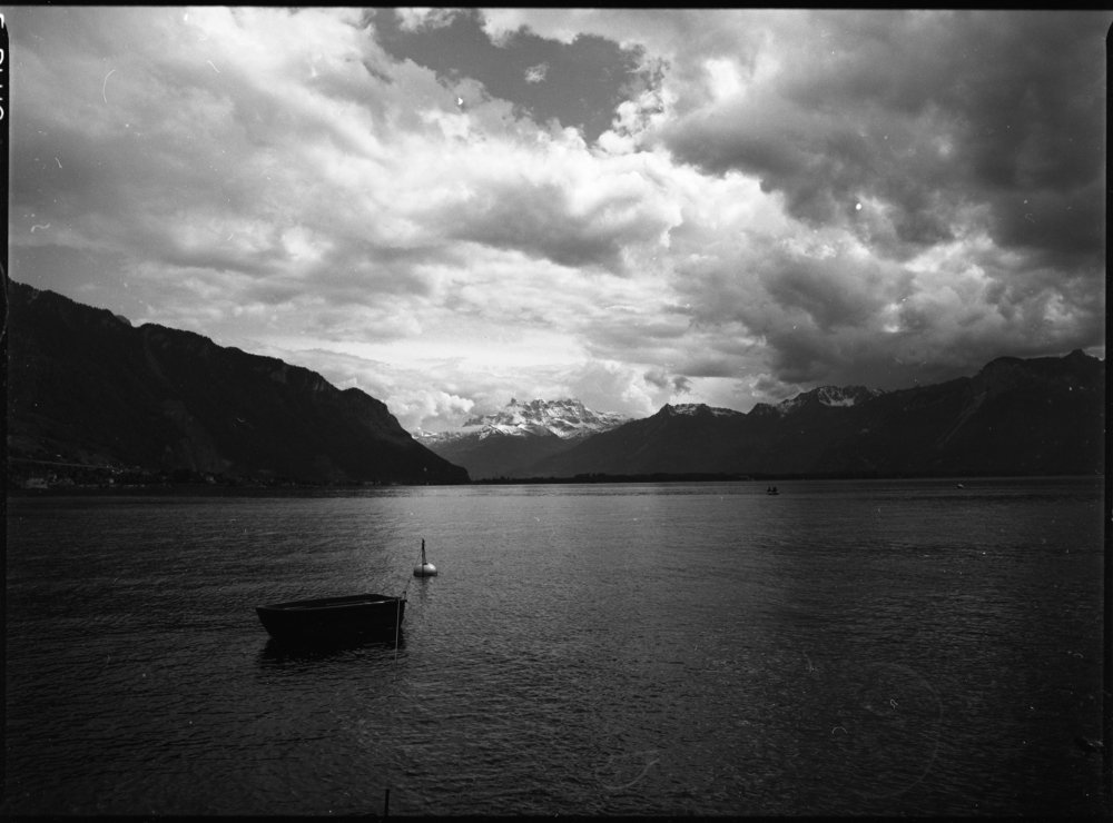 Would you rather go on a boat trip?