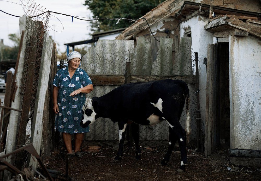 Photograph by Алексей Размашкин