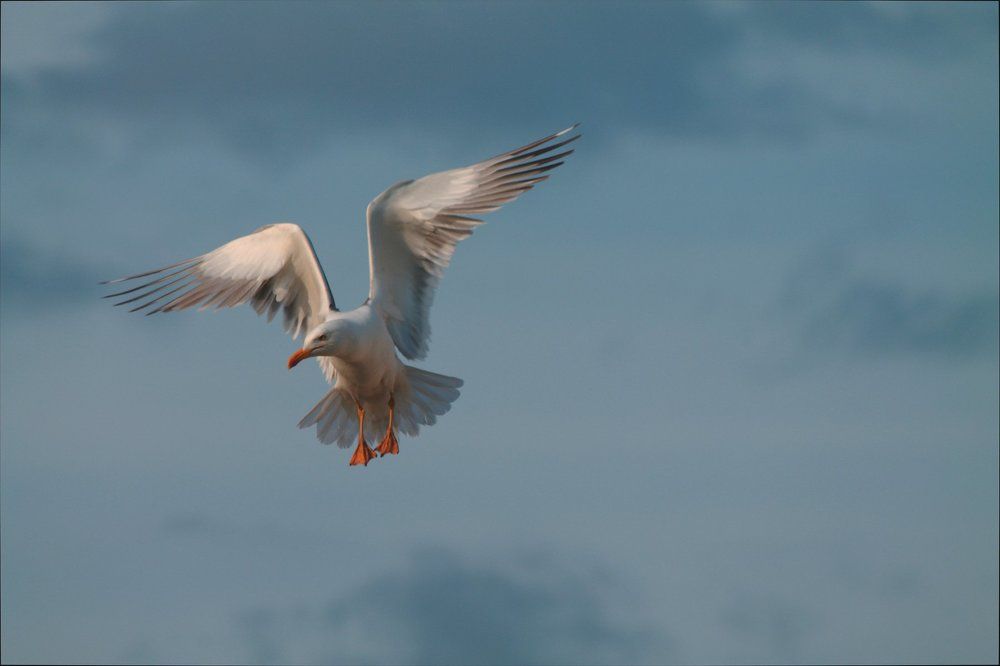 Photograph by Мальцева Дарья