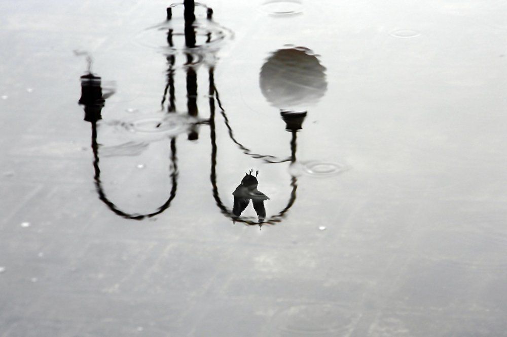 Предвесенний монохром