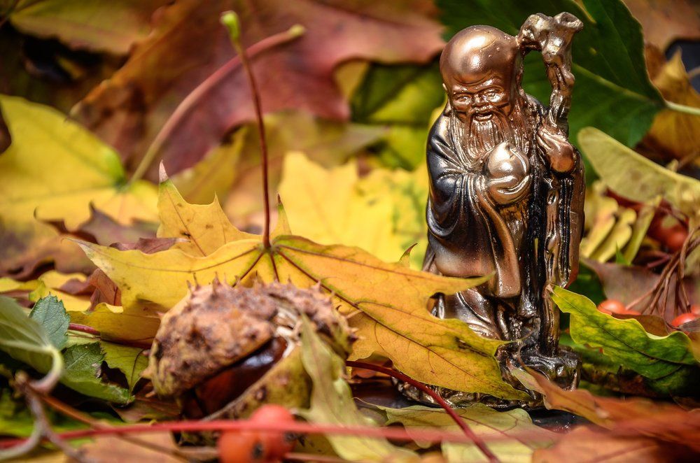 В уединении