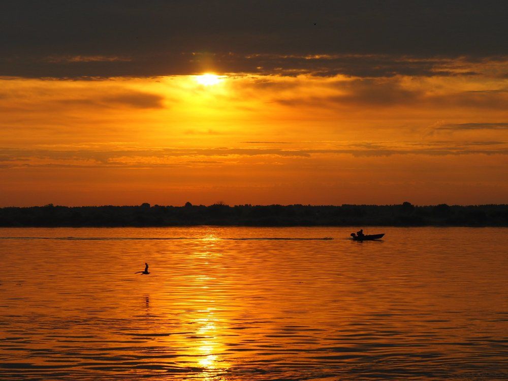 Фотография автора Александр Петаев