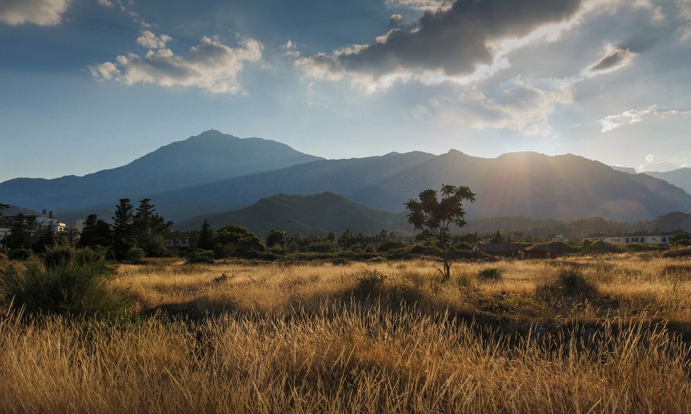 Южный вечер