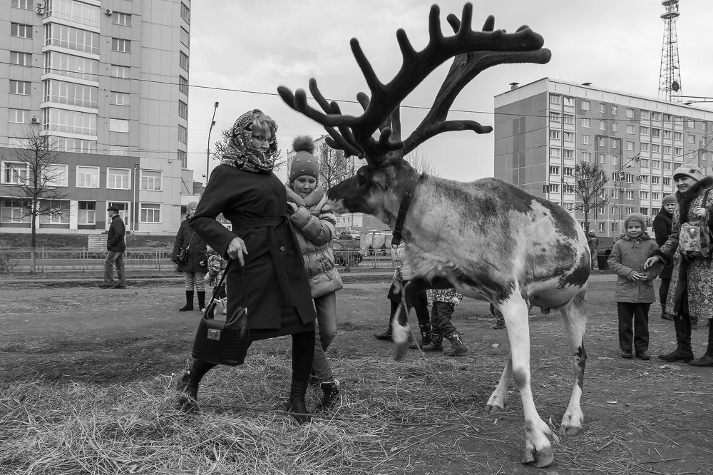 Страшно не упасть,страшно не подняться...