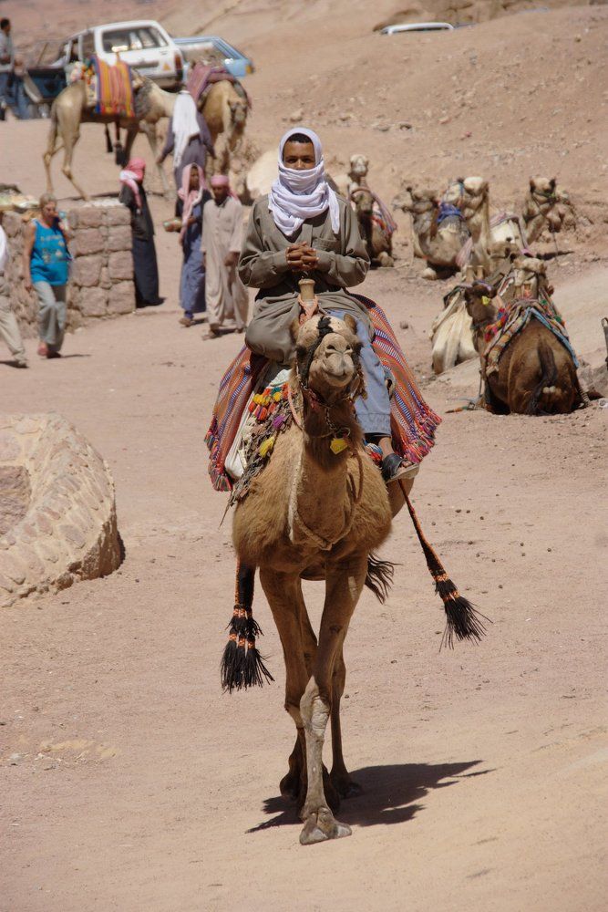 Жаркий день