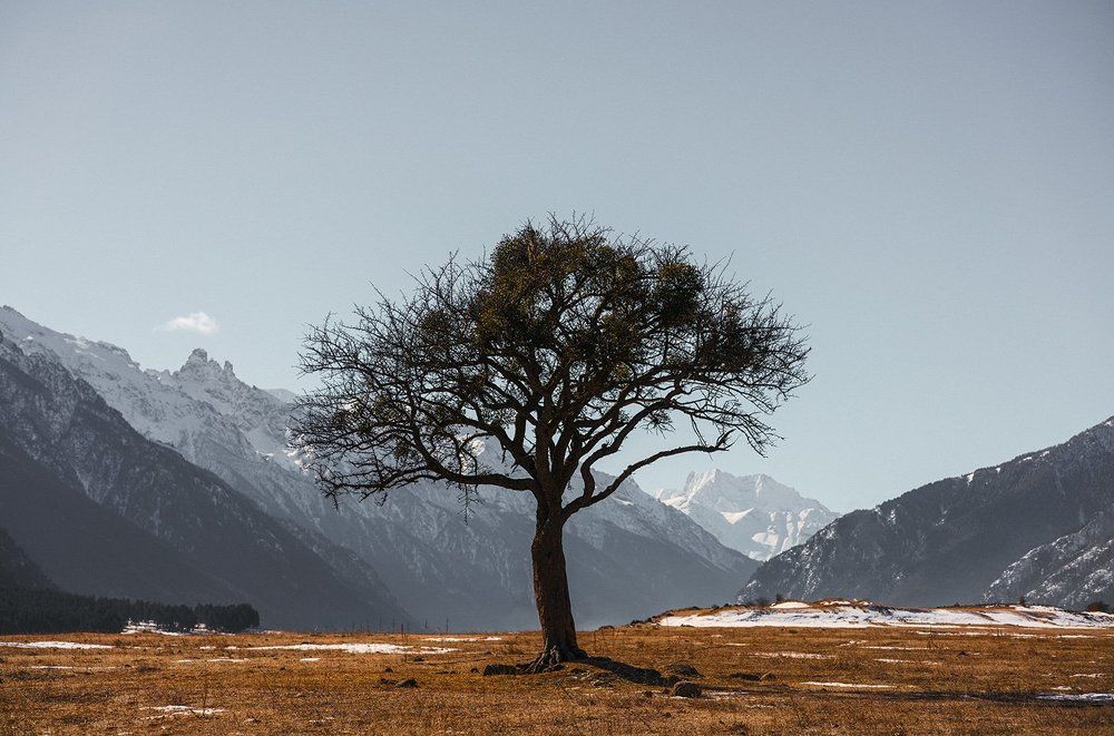 Одиночество