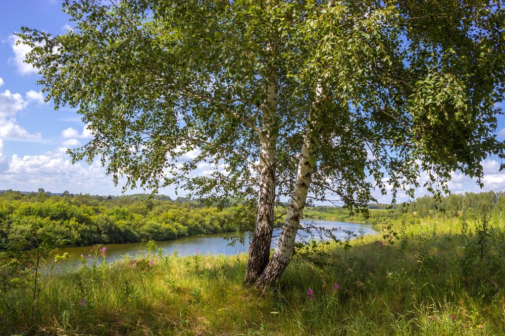 На берегу реки Яя