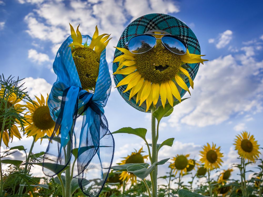 Масляная парочка