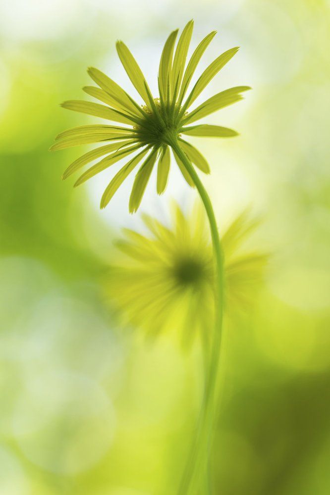 Мне бы в небо