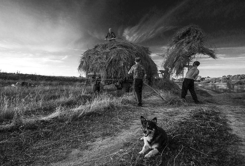 Пора сенокосная...