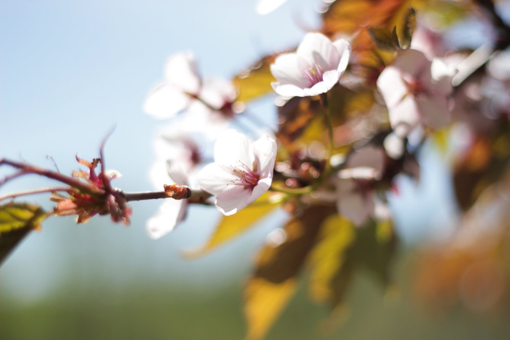 Photograph by Константин Каменев