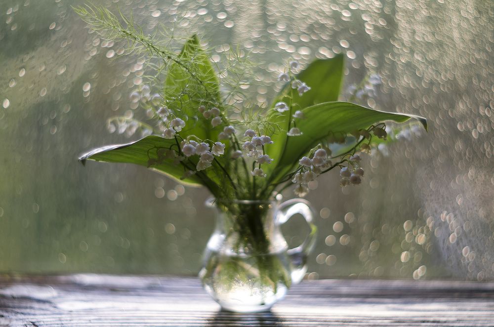 Майские ландыши.