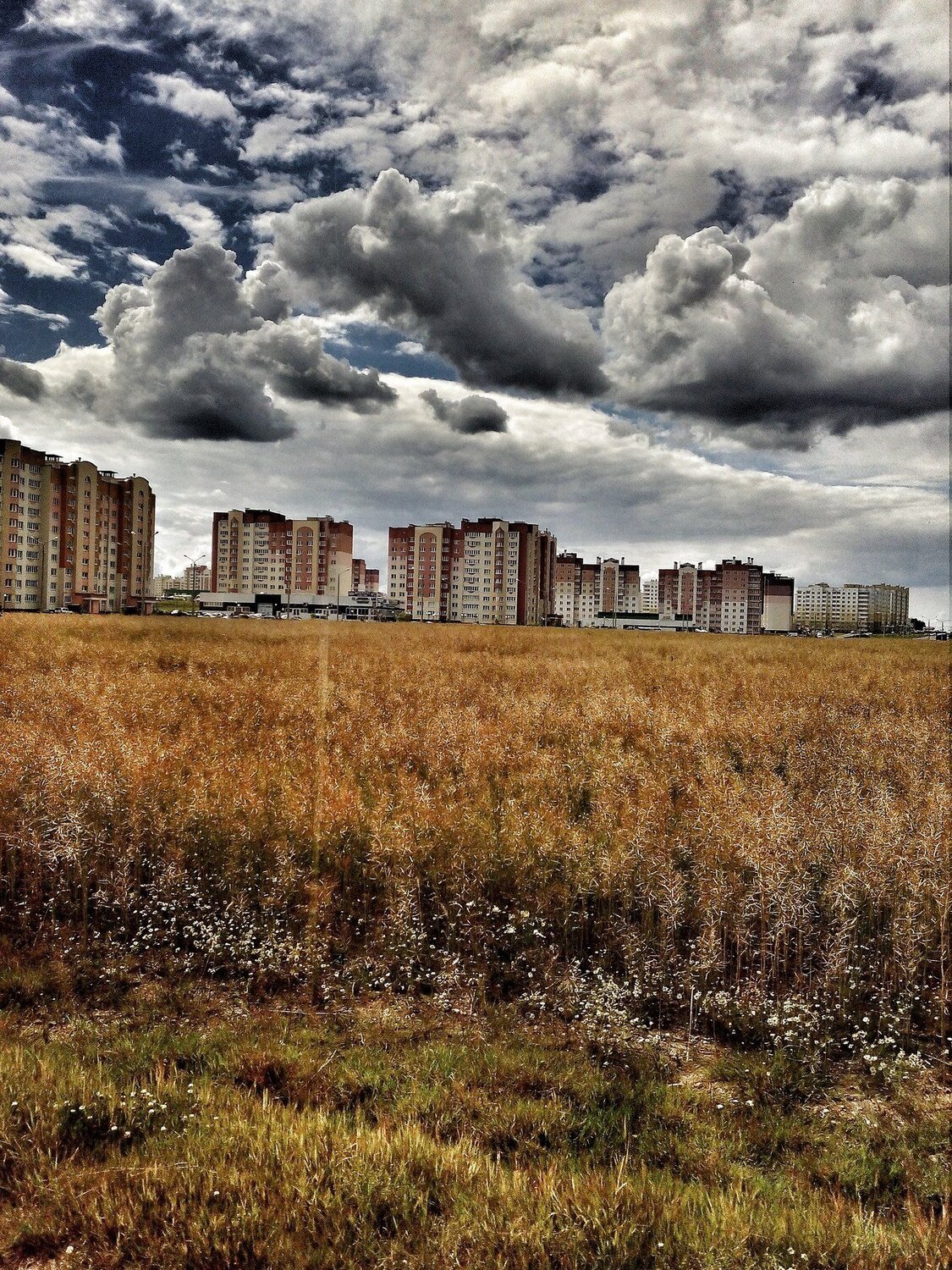 Городской пейзаж,тучи над рапсом