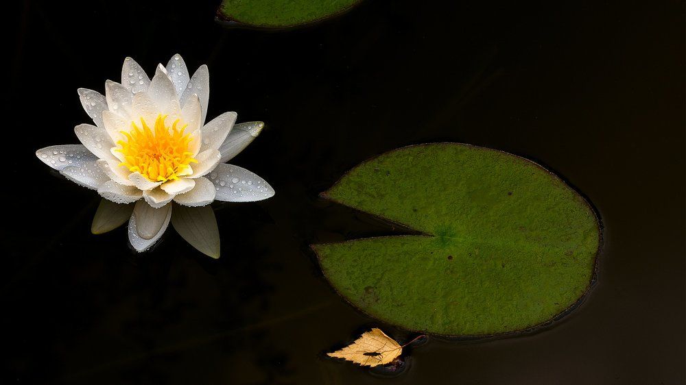 На маленьком плоту, я тихо уплыву...