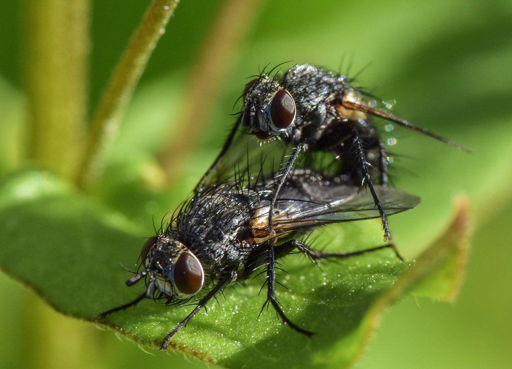 Кое-что из личной жизни...