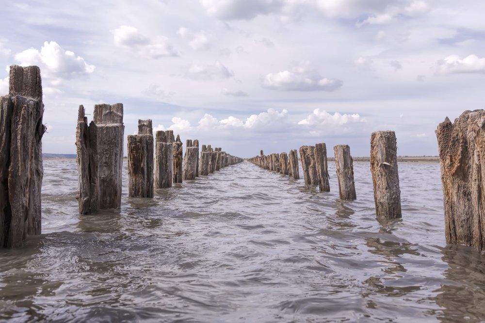 Окаменевшая история куяльника
